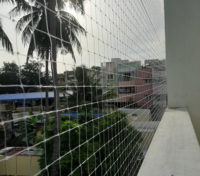 Pigeon Nets