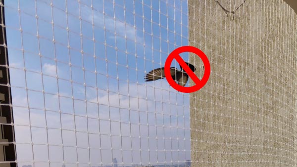 Anti-Bird Nets
