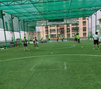 Terrace Top Nets